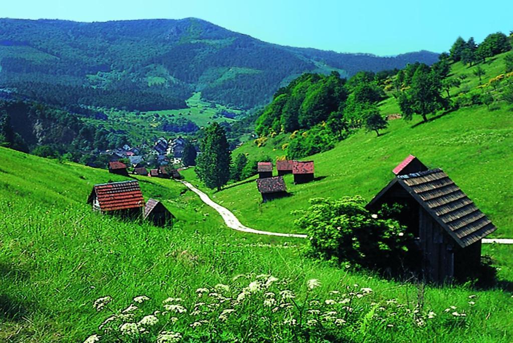Hotel Schwanen 3*